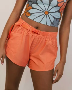 Online Hybrid Explorer Short Bottoms