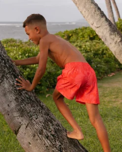 Discount Boys Board Short Family Matching