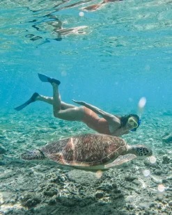 Clearance Textured Sandbar One Piece Mommy & Me|One Pieces